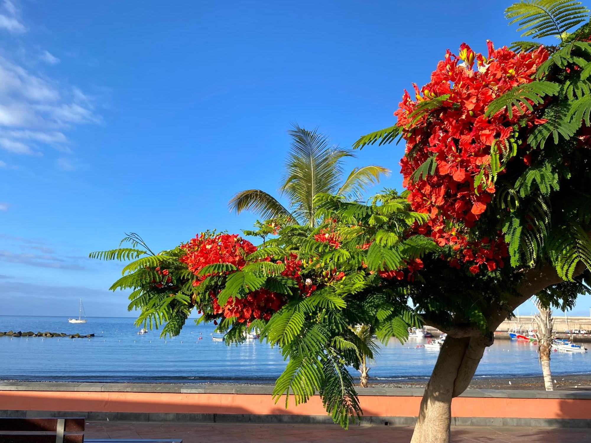 Casa Antonio - Apartamento Luna Playa de San Juan  Eksteriør billede